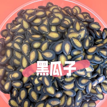新疆阿勒泰地区黑大片