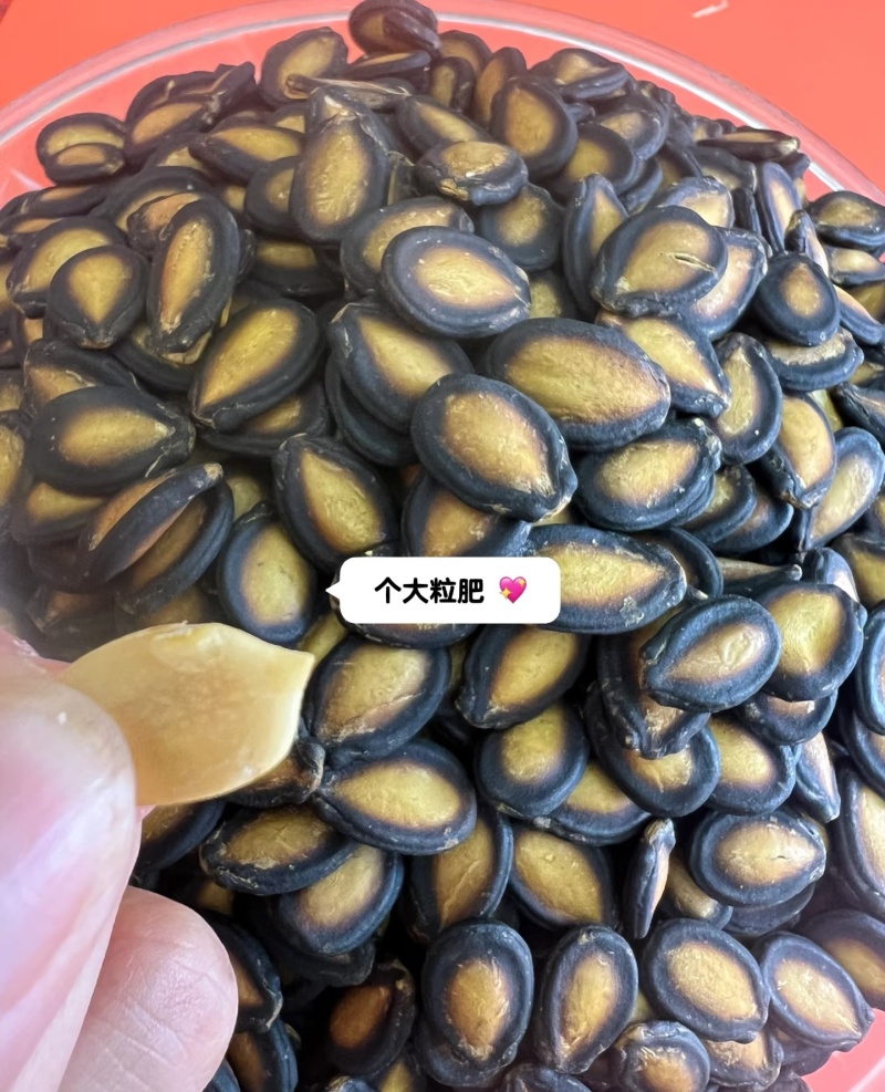 新疆阿勒泰地区黑大片