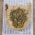 瞿麦中药材无硫干货巨麦翟麦，质量保证
