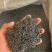价格二十左右三十左右，六七十都有，需要的来，主做电商带货，