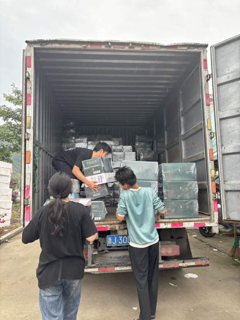 仙居东魁杨梅产地直发一件代发顺丰冷链