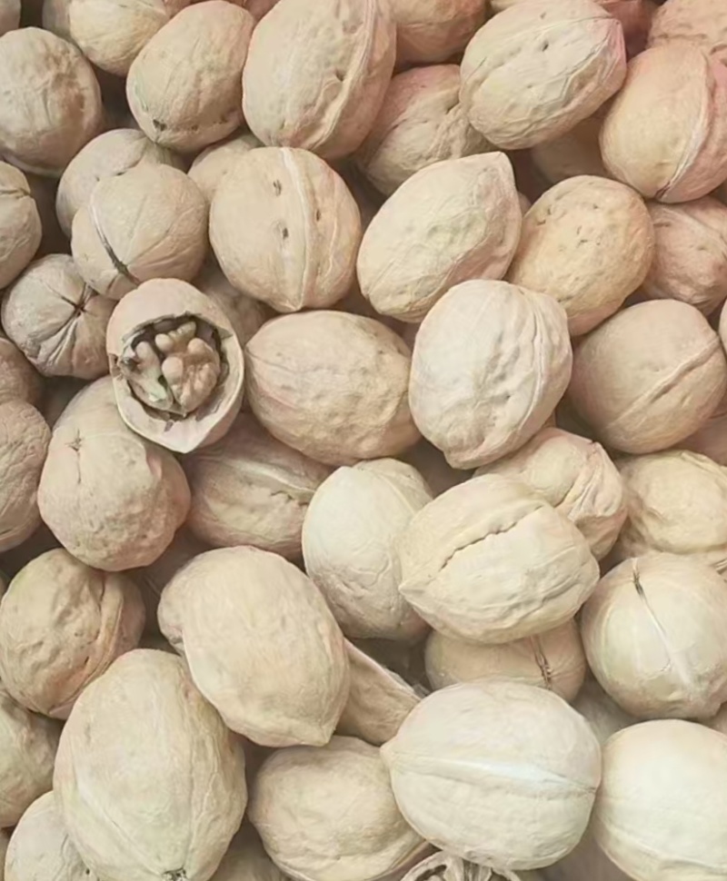 山东薄皮核桃