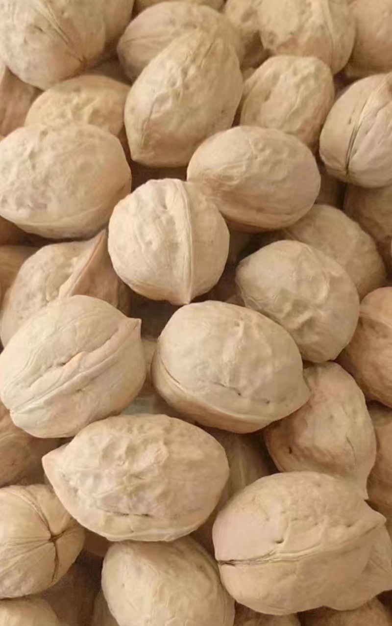 山东薄皮核桃