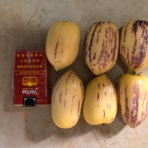 人参果，场地直发，温棚货