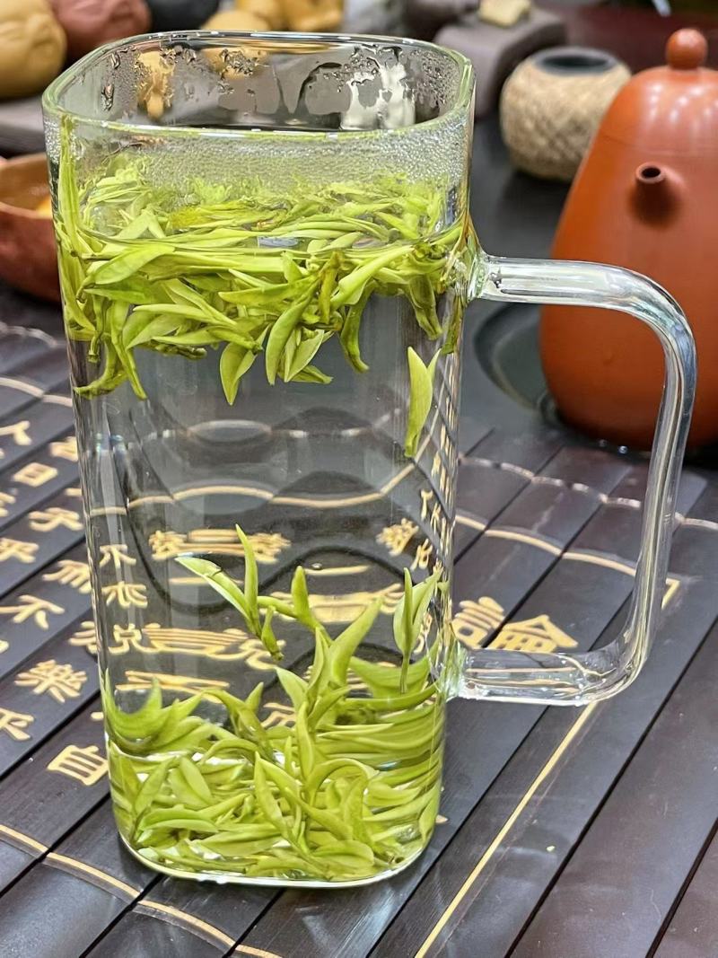 四川高山茶批发安吉白茶。