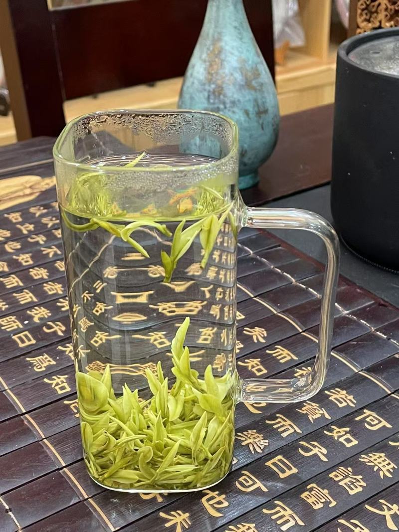 四川高山茶批发安吉白茶。