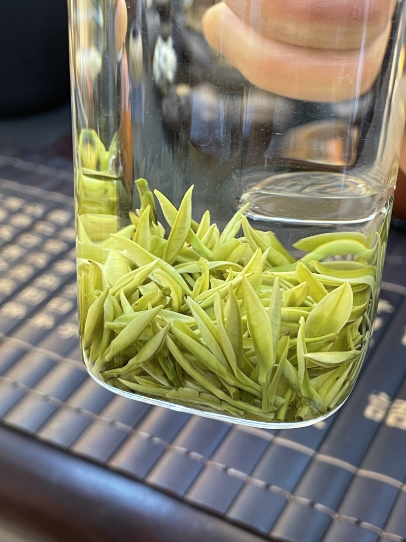 四川高山茶批发安吉白茶。