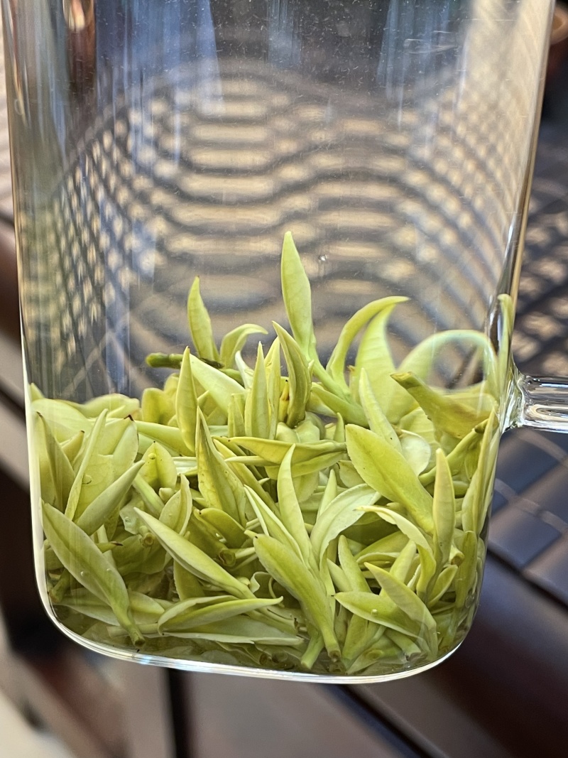 四川高山茶批发安吉白茶。