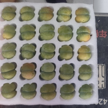 正宗《六马蜂糖李》