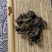 精选紫苏叶中草药材野生干紫苏叶粉紫苏叶干泡脚，质量保证