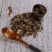 瓦松中药材正品新货包邮天然野生新鲜干货中草药，质量保证