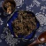 瓦松中药材正品新货包邮天然野生新鲜干货中草药，质量保证