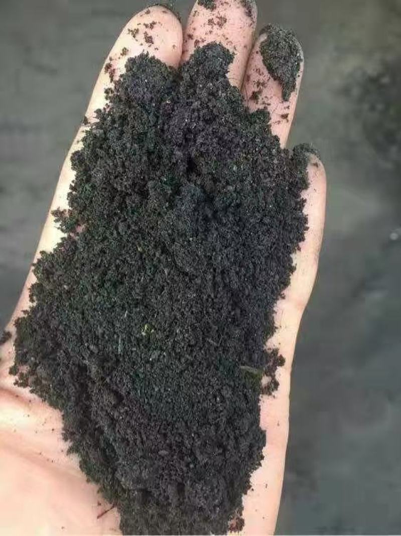 发酵鸡粪有机肥蔬菜大棚用肥腐熟无臭味