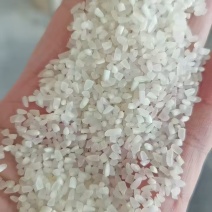 抛光中大碎米，食品级A级产品，现货200吨