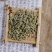 中药材新鲜木贼空心草木贼草天然无硫，质量保证