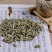 中药材新鲜木贼空心草木贼草天然无硫，质量保证