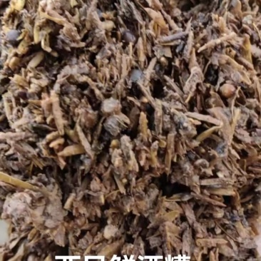 鲜白酒糟