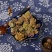 芙蓉干花干芙蓉花芙蓉花朵木芙蓉中药材质量保证
