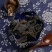 中药材昆布（选货）昆布红花野生正品昆布丝，质量保证