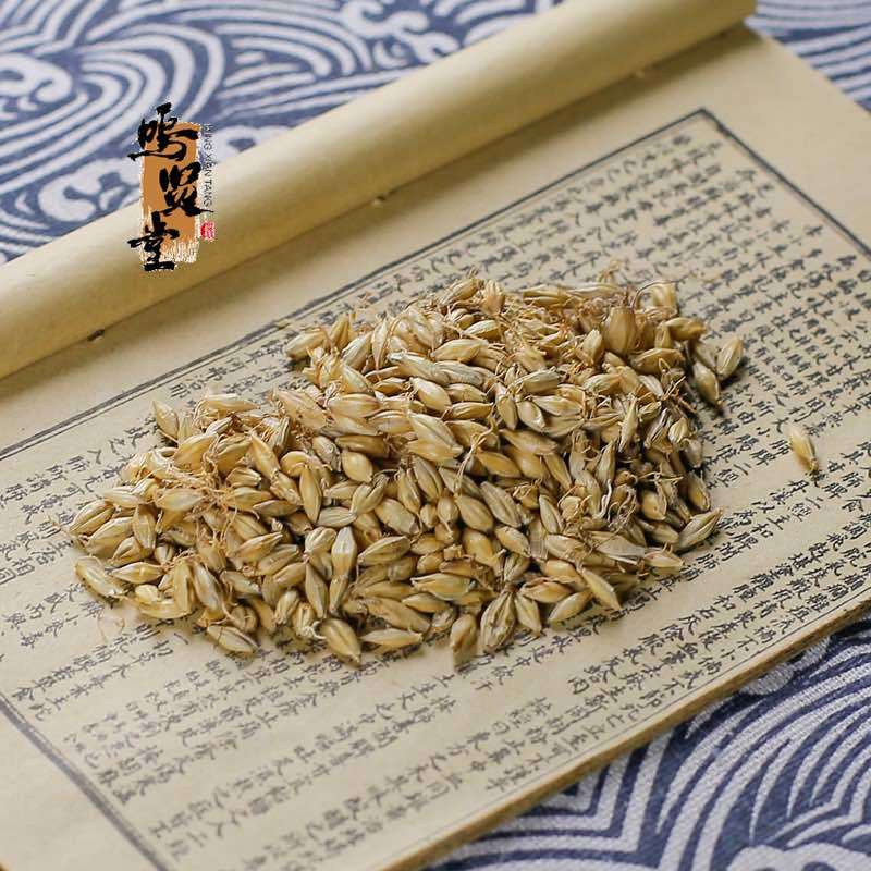 麦芽中药材天然野生纯新货大麦生麦芽大麦蘖麦蘖，质量保证