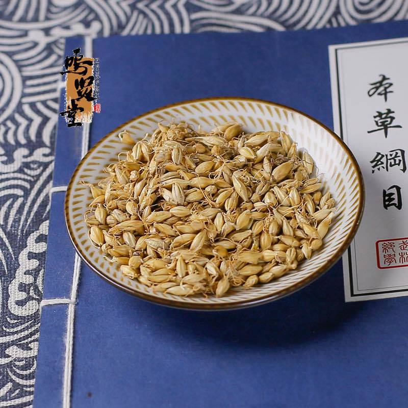 麦芽中药材天然野生纯新货大麦生麦芽大麦蘖麦蘖，质量保证