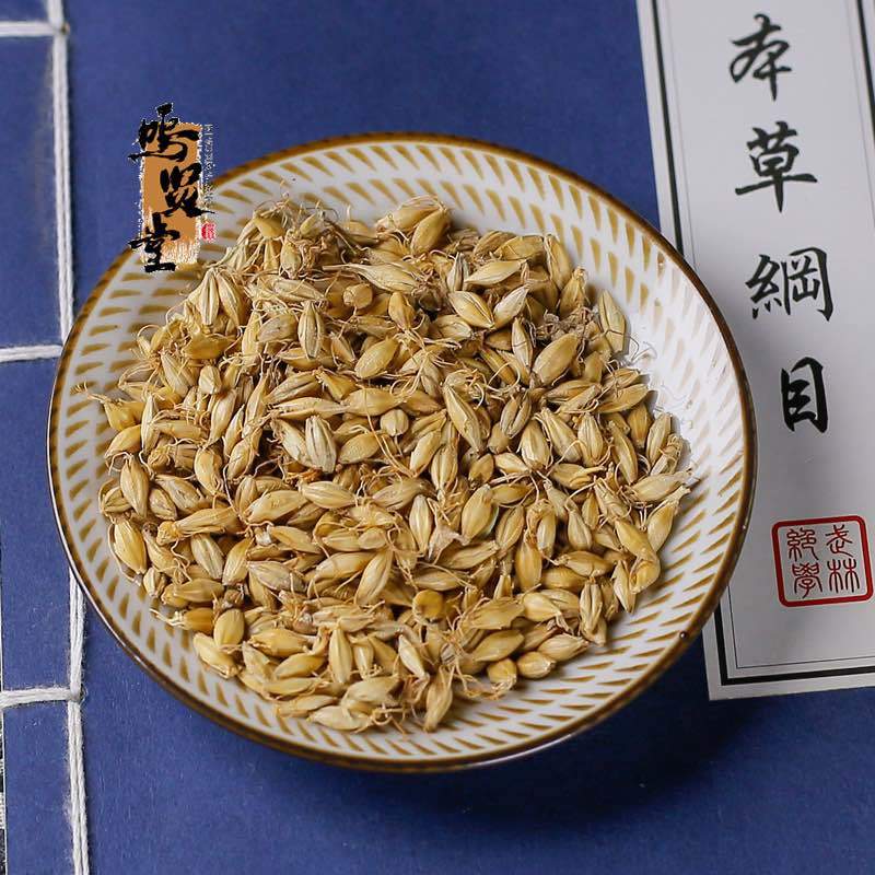 麦芽中药材天然野生纯新货大麦生麦芽大麦蘖麦蘖，质量保证