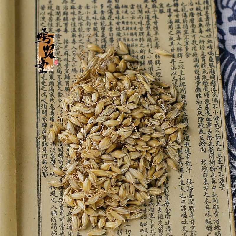 麦芽中药材天然野生纯新货大麦生麦芽大麦蘖麦蘖，质量保证