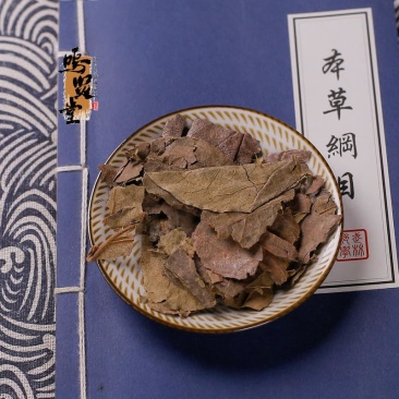 柿子叶中药材柿子叶茶新鲜干货，质量保证