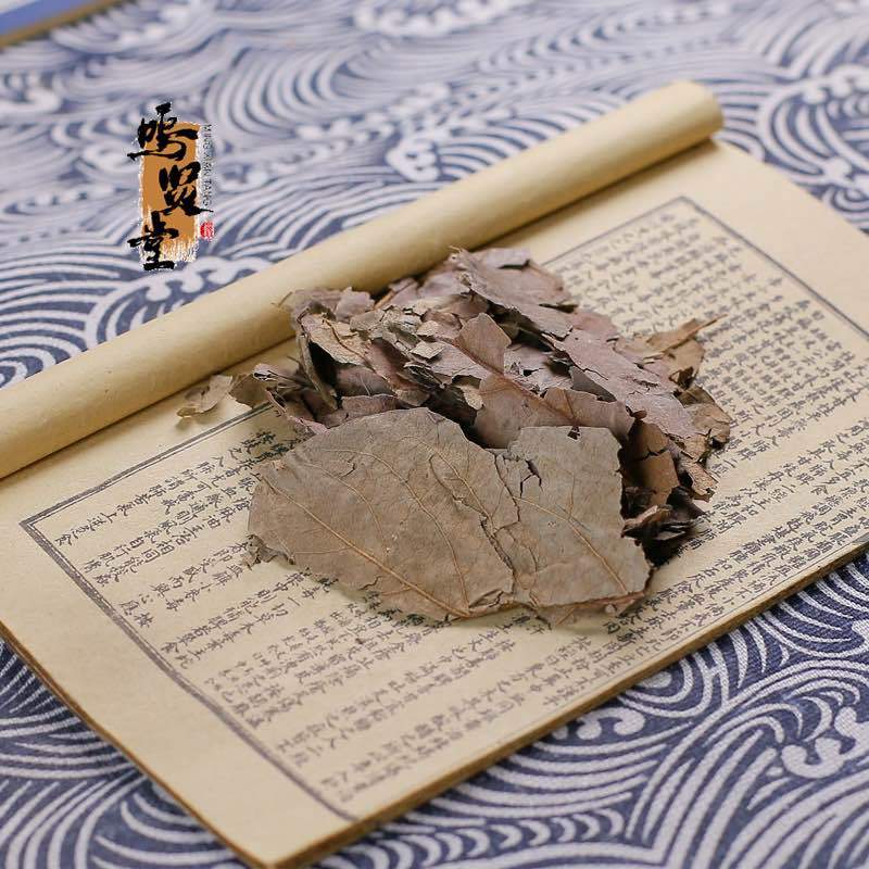 柿子叶中药材柿子叶茶新鲜干货，质量保证
