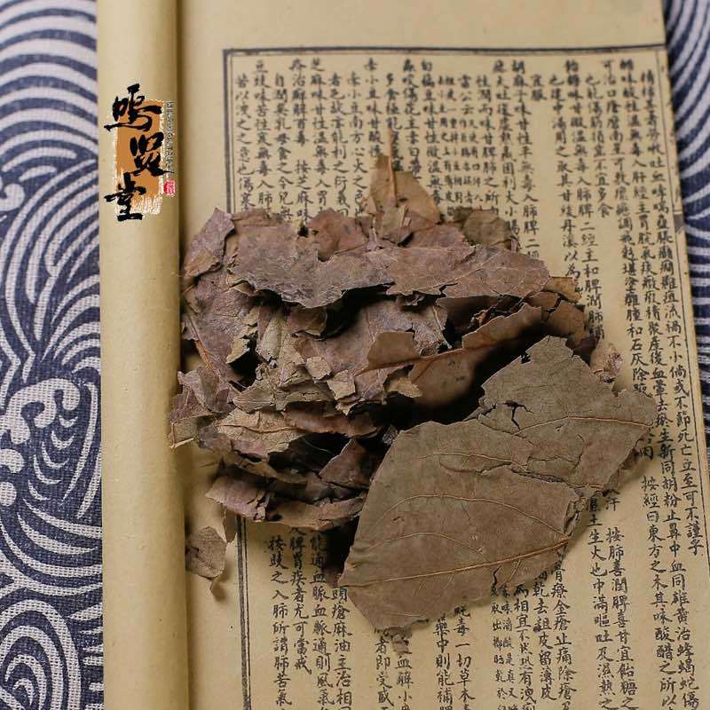 柿子叶中药材柿子叶茶新鲜干货，质量保证