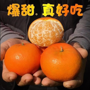 沃柑纯甜新鲜橘子桔子孕妇柑橘应当季精选沃柑水果电商一件代
