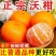 沃柑纯甜新鲜橘子桔子孕妇柑橘应当季精选沃柑水果电商一件代
