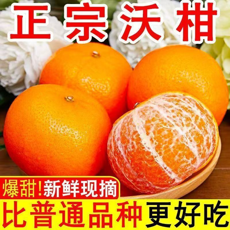 沃柑纯甜新鲜橘子桔子孕妇柑橘应当季精选沃柑水果电商一件代