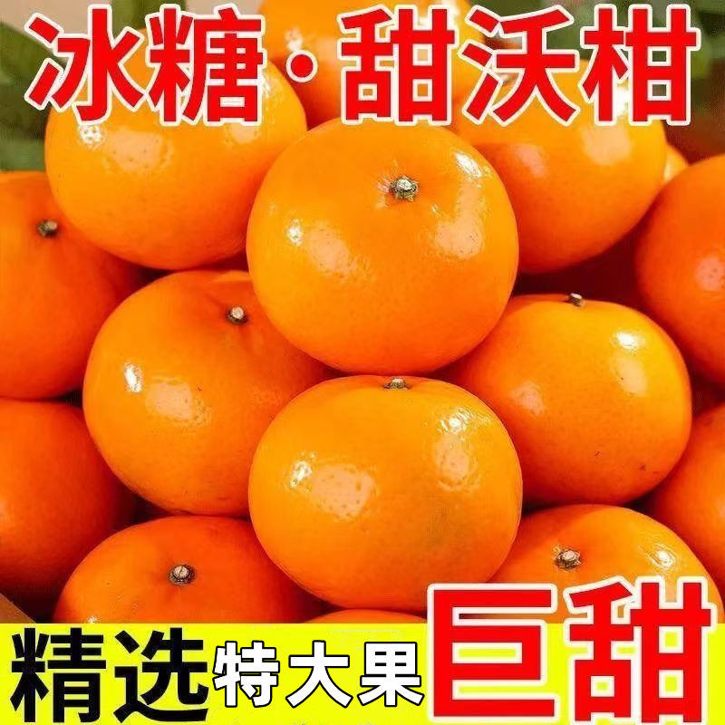 沃柑纯甜新鲜橘子桔子孕妇柑橘应当季精选沃柑水果电商一件代