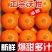 沃柑纯甜新鲜橘子桔子孕妇柑橘应当季精选沃柑水果电商一件代