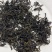 春茶绿茶明前茶
