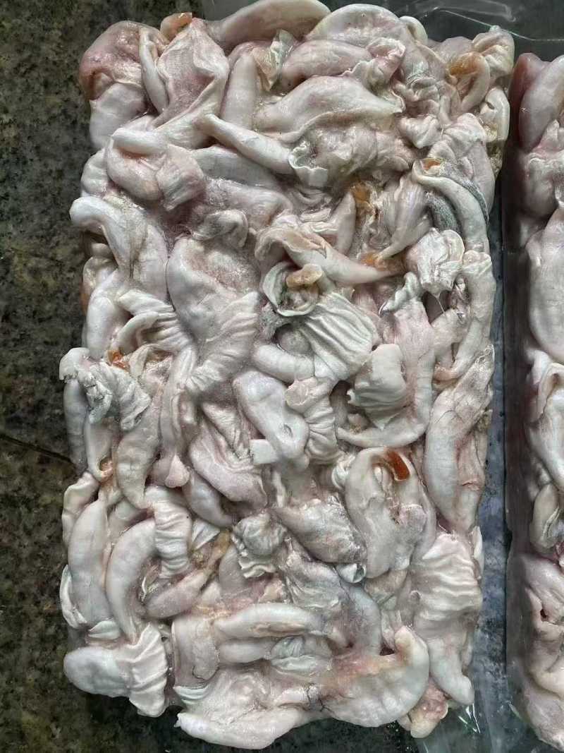 牛蛙肚有货
