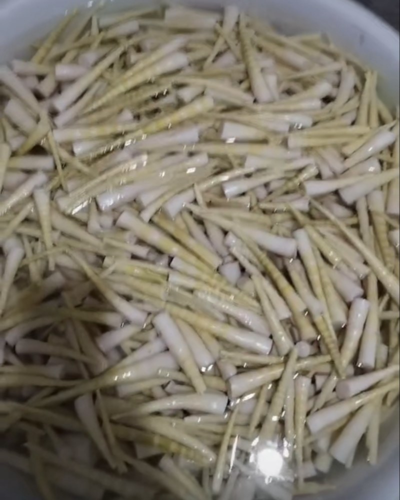 云南高山罗汉笋
