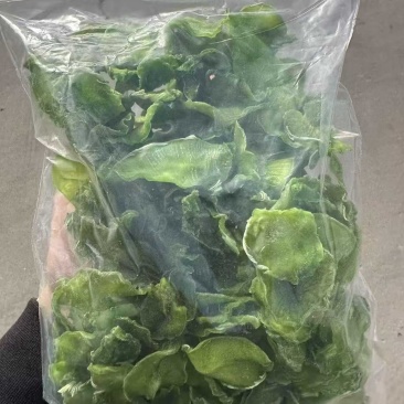 莴笋片量大可优惠
