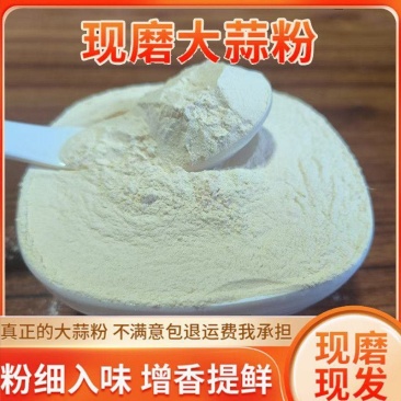纯大蒜粉商用蒜粉烧烤腌料调味