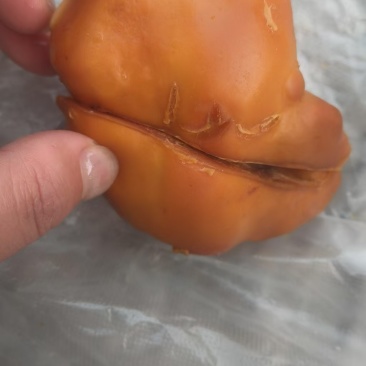 自家杀鸡得鸡宝一个