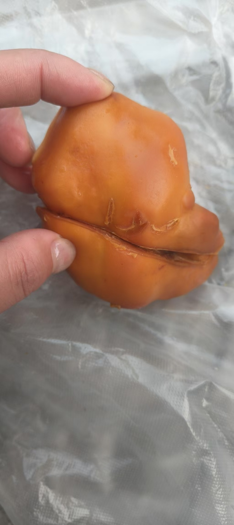自家杀鸡得鸡宝一个
