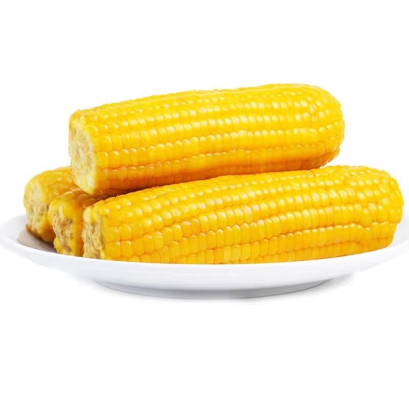 糯玉米