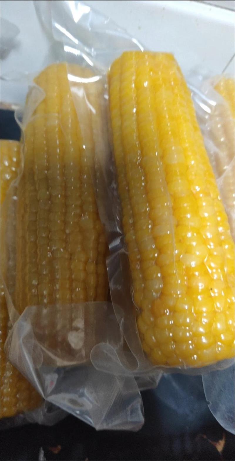 糯玉米