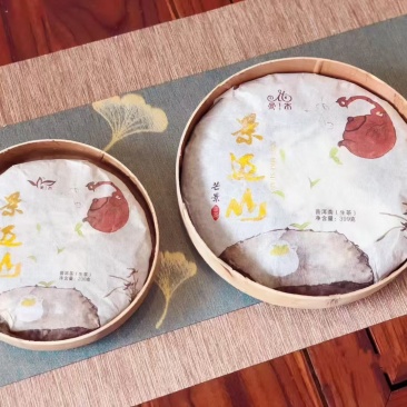 普洱景迈古树茶
