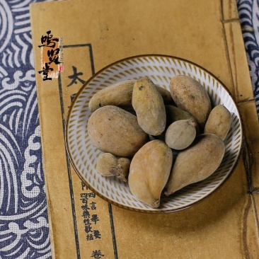 五倍子中药材野生五倍子粉百虫仓五倍子