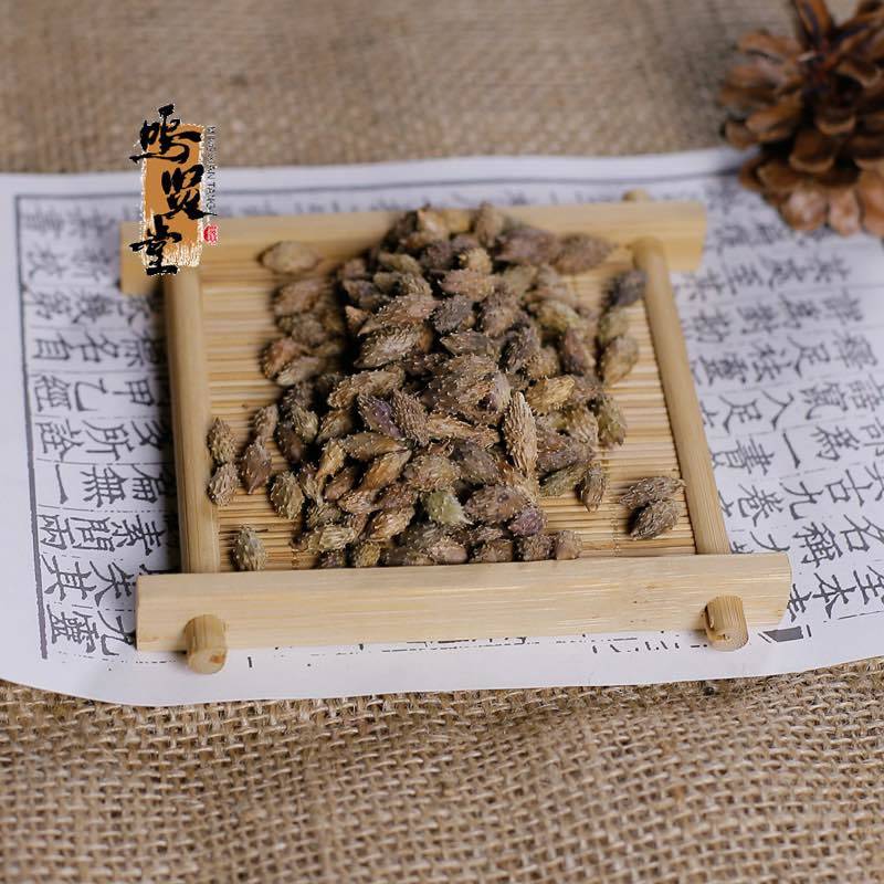 去刺生苍耳子新货中药材苍耳子新货苍耳子无硫中草药，质量保证