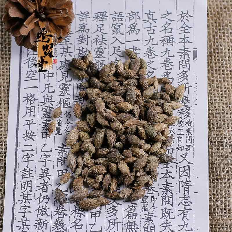 去刺生苍耳子新货中药材苍耳子新货苍耳子无硫中草药，质量保证