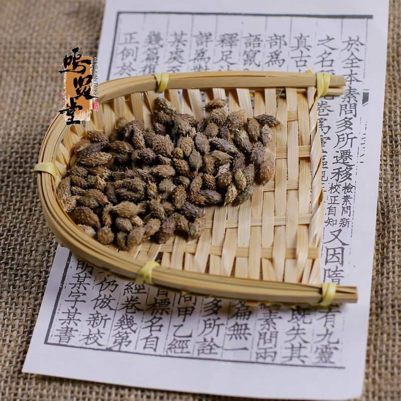 去刺生苍耳子新货中药材苍耳子新货苍耳子无硫中草药，质量保证