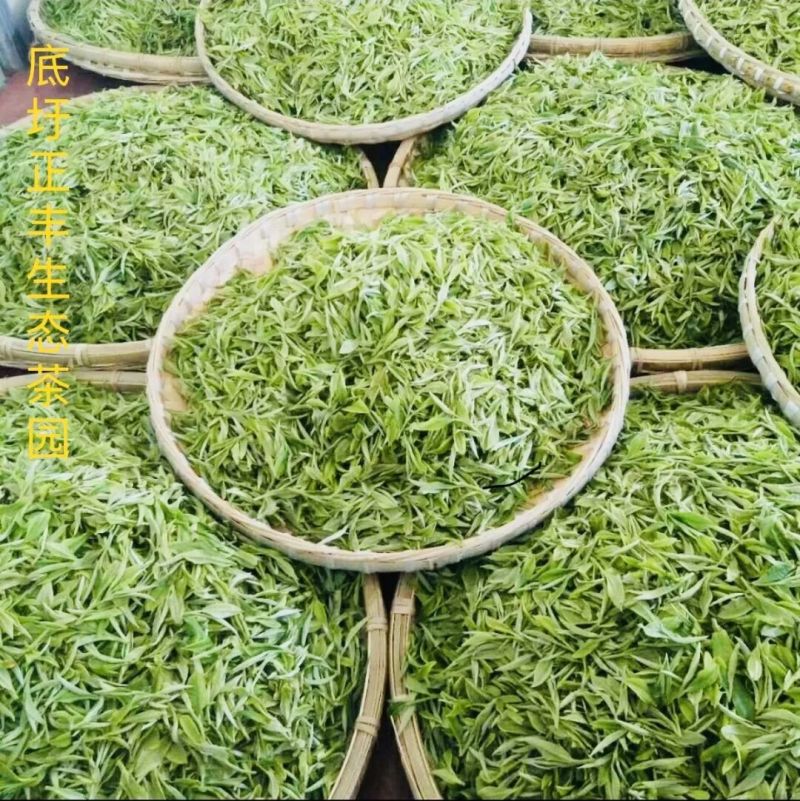 云南省文山市广南县号茶叶